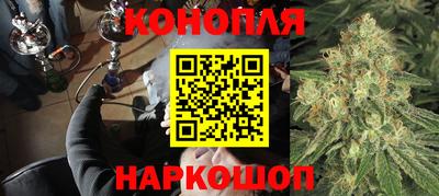 СК Будённовск