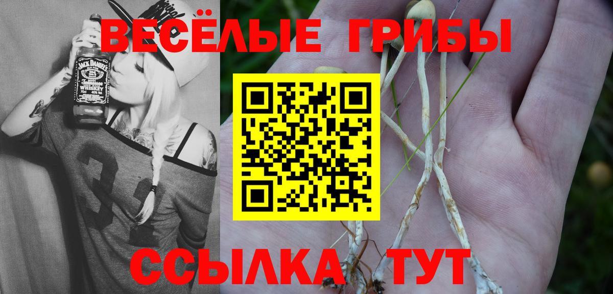 Псилоцибиновые грибы Psilocybine cubensis  Вход с VPN  Нальчик 